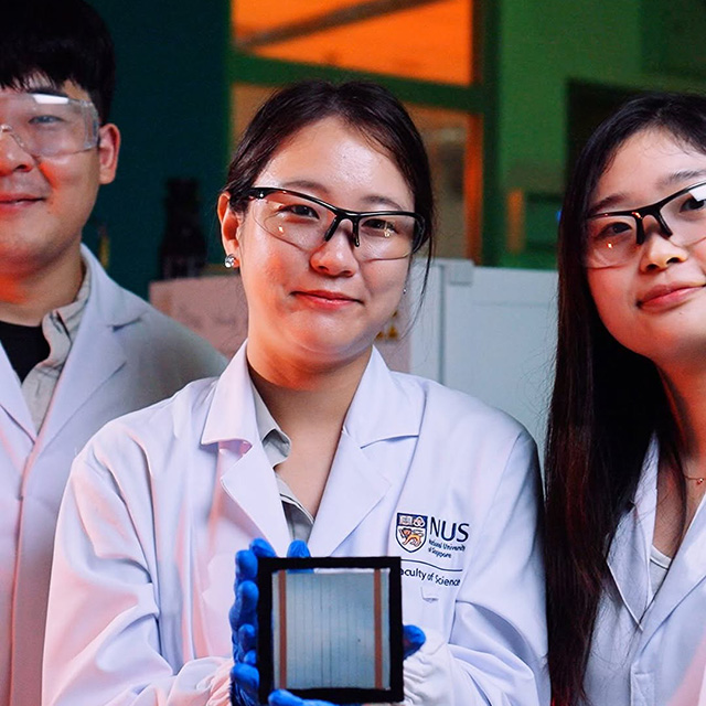 Perovskite solar cells